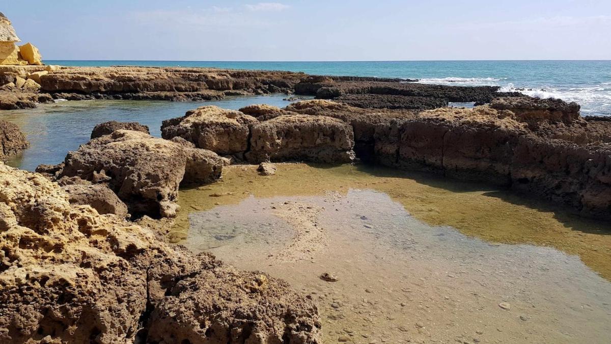 Albufeira Sea View Apartman Kültér fotó